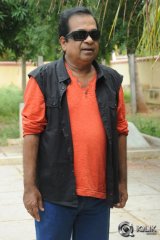 Brahmanandam About Alludu Seenu Movie